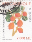 Stamps Mozambique -  GARCINIA LIVINGSTONEI-Pimbi
