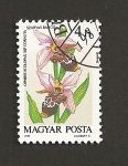 Stamps Hungary -  Ophris scolopax