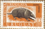 Sellos de America - Uruguay -  FAUNA - MULITA, ARMADILLO