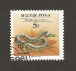 Stamps Hungary -  Serpiente Natrix natrix
