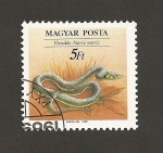Sellos de Europa - Hungra -  Serpiente Natrix natrix