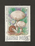 Stamps Hungary -  Setas comestibles: Agaricus campester