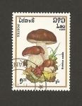 Stamps Lebanon -  Boltus edulis