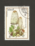 Stamps Laos -  Cuprinus comatus