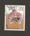 Sellos de America - Cuba -  Orquidea Phaenopsis margit