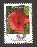 Stamps Germany -  2297 - flor amapola silvestre