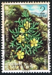 Stamps Spain -  HYPERICLA ERICOIDES