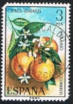 Stamps Spain -  NARANJO-CITRUS SINENSIS