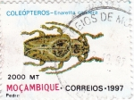 Stamps : Africa : Mozambique :  COLEOPTEROS- Enaretta Conifera