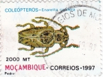 Sellos del Mundo : Africa : Mozambique : COLEOPTEROS- Enaretta Conifera