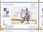 Stamps Spain -  Edifil  3610A  Exposición Mundial de Filatelia España 2000.  