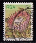 Stamps South Africa -  Flora