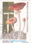 Stamps Equatorial Guinea -  Termitomyces  le testui