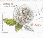 Sellos de Europa - Portugal -  FLORES DE LAS AÇORES- Viburnum