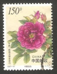 Sellos de Asia - China -  3510 - Flor rosa 