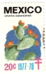 Stamps Mexico -  cactus