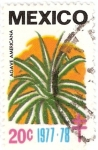Stamps : America : Mexico :  planta