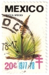 Stamps Mexico -  planta