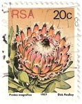 Stamps South Africa -  planta