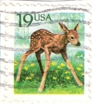 Stamps : America : United_States :  ciervo