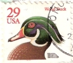 Stamps United States -  pato