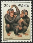 Stamps Rwanda -  CHIMPANZES