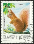 Stamps Hungary -  MOKUS - SCIURUS VULGARIS