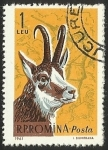 Stamps : Europe : Romania :  R.P ROMINA - FAUNA