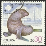 Stamps Poland -  UCHATKA - ARCTOCEPHALUS