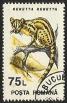 Stamps Romania -  GENETTA GENETTA