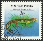 Stamps Hungary -  FURGE GYIK - LACERTA AGILIS 