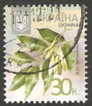 Stamps Ukraine -  Milésima 2012 II, Flora fraxinus excelsior