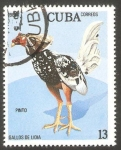 Stamps Cuba -  2271 - Gallo de pelea