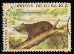 Stamps : America : Cuba :  CAPROMYS PILORIDES.