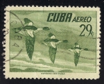 Sellos de America - Cuba -  PATO.