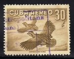 Stamps Cuba -  CODORNIZ.