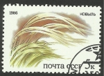 Stamps Russia -  Flora