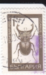 Stamps Bulgaria -  LUCANUS CERVUS