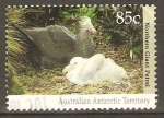 Stamps Australia -  PETREL  GIGANTE  NORTEÑO