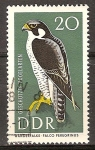 Sellos de Europa - Alemania -  Aves protegidas.Halcón peregrino-DDR.