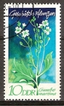 Stamps Germany -  Plantas Protegidas(Crambe maritima)-DDR.