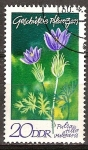 Stamps Germany -  plantas protegidas(Pulsatilla vulgaris)-DDR.