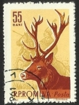 Stamps : Europe : Romania :  ALCE