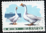 Stamps North Korea -  Ducks & goose. 