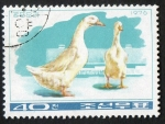 Stamps : Asia : North_Korea :  Ducks & goose. 