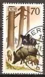 Stamps Germany -  Cazar jabalíes-DDR. 