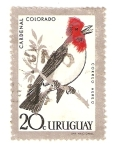 Stamps : America : Uruguay :  Cardenal colorado