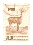 Stamps : America : Peru :  Vicuña  peruana