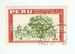 Stamps Peru -  El ceibo centenario de la plaza de Pomabamba