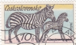 Sellos de Europa - Checoslovaquia -  Cebras